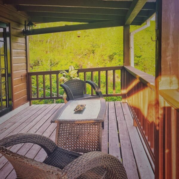 WhatsApp Image 2025-02-01 at 2.32.22 PM