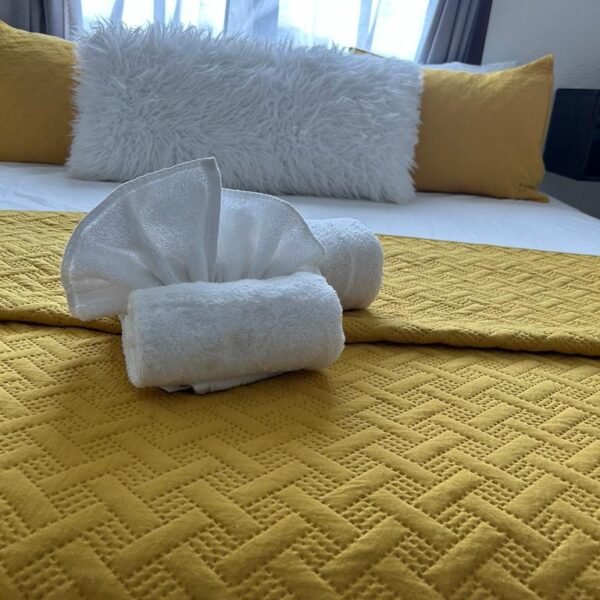 WhatsApp Image 2025-02-01 at 2.32.27 PM