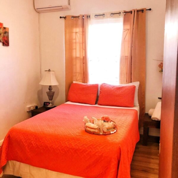 WhatsApp Image 2024-11-25 at 5.51.12 PM (2)