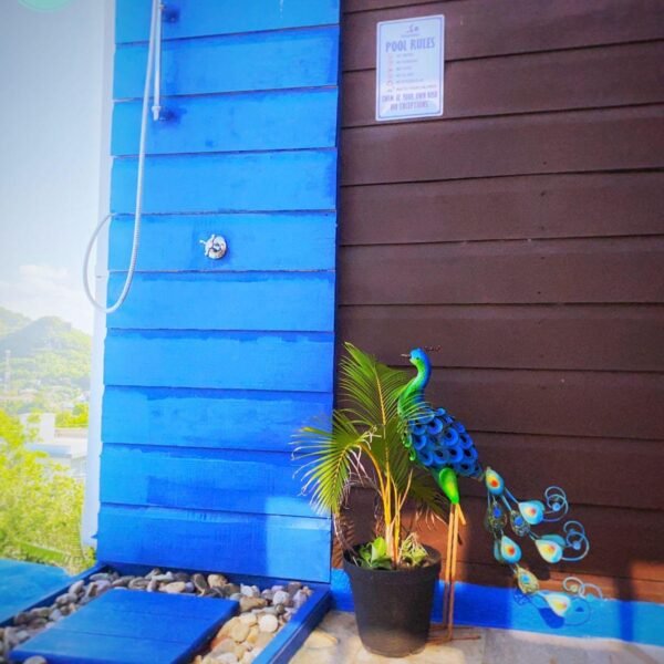 WhatsApp Image 2025-07-09 at 8.18.03 PM (3)