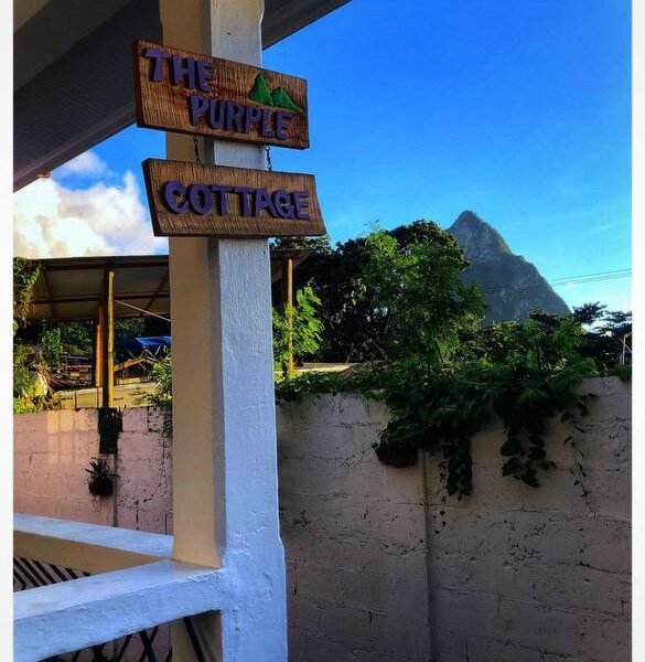 WhatsApp Image 2025-07-09 at 8.18.04 PM (10)