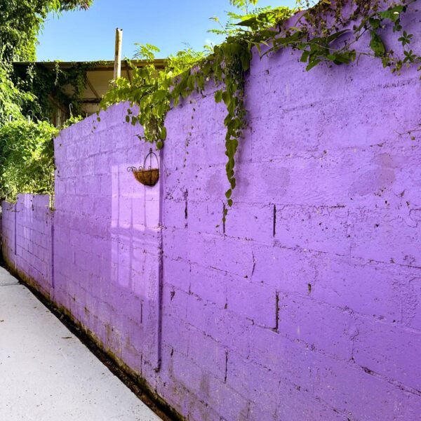 WhatsApp Image 2025-07-09 at 8.18.04 PM (17)